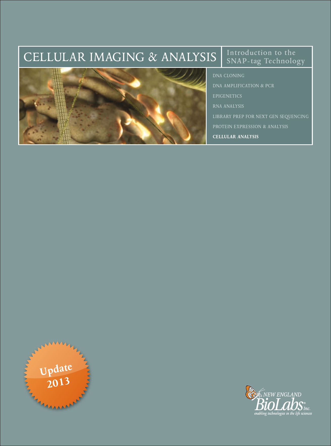 NEB Cellular Imaging and Analysis Brochure